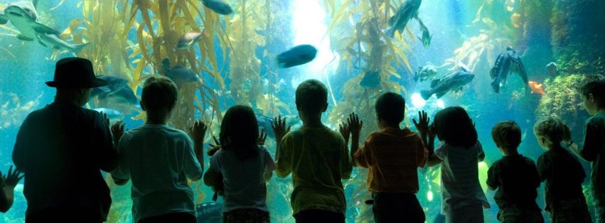 Kids Enjoying the Birch Aquarium at Scripps