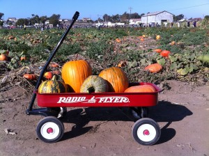 Pumpkins in a Radio Flyer at Suzie's Farm Pumpkin Palooza