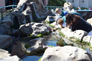 Family learning about tide pools at the Birch Aquarium at Scripps