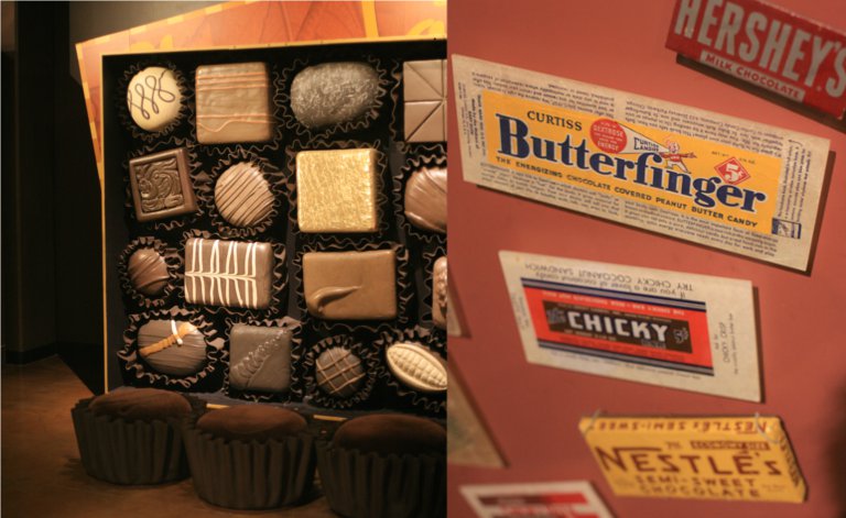 Chocolate exhibition at the San Diego Natural History Museum