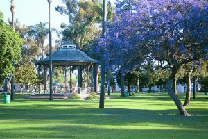 Gazebo at Spreckels Park - Coronado