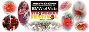 2013 Vista Strawberry Festival