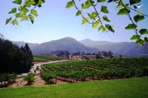 San Diego winery tours