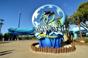SeaWorld San Diego 50th anniversary
