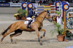 Hunter Jumper Week - Del Mar National Horse Show