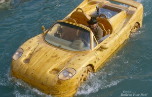 Ripley's Ferrari Boat