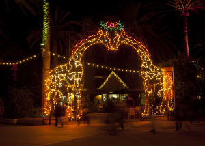 Jungle Bells - San Diego Zoo