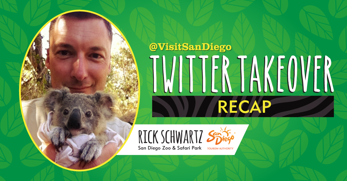 Twitter Takeover Recap with Rick Schwartz