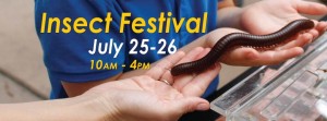 Insect Festival - San Diego Botanic Garden