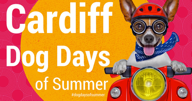 Cardiff Dog Days of Summer