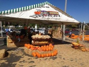 Pumpkin Station