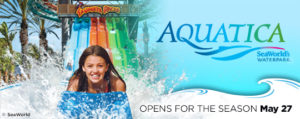 Aquatica San Diego - Top Things to Do