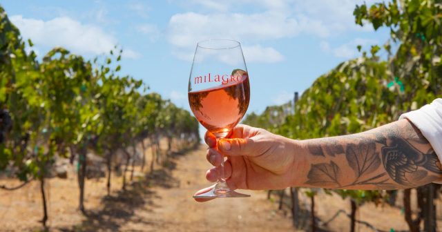 Hot ‘Hoods: San Diego’s Wine Trail Through Julian and Ramona