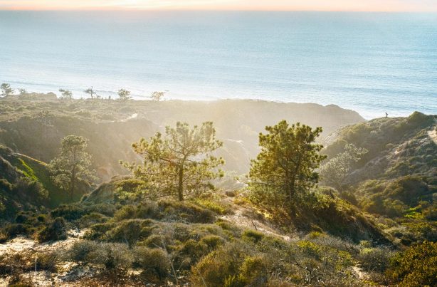 Torrey Pines - Hot Hoods Del Mar & Carmel Valley