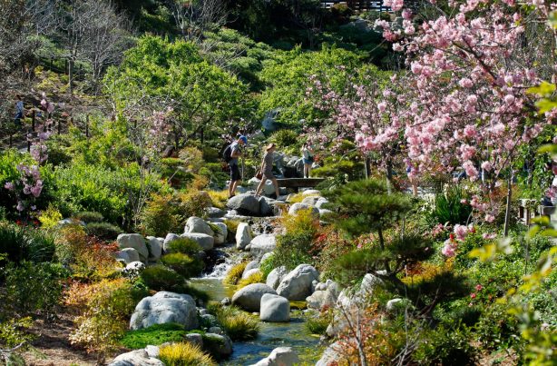 Japanese Friendship Garden in Balboa Park