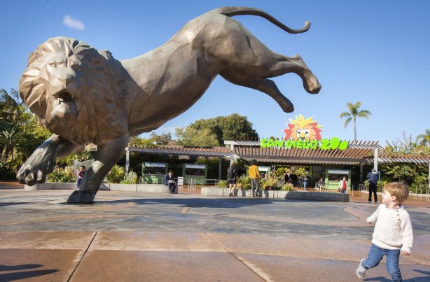 San Diego Zoo - Guide for First Time Families