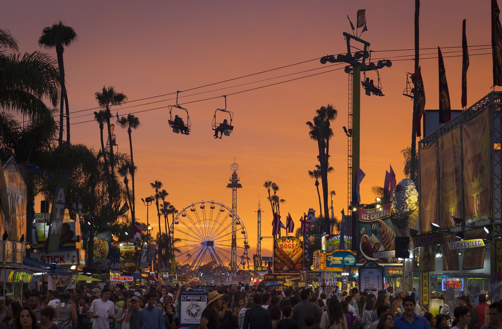 San Diego County Fair - Top Things to Do