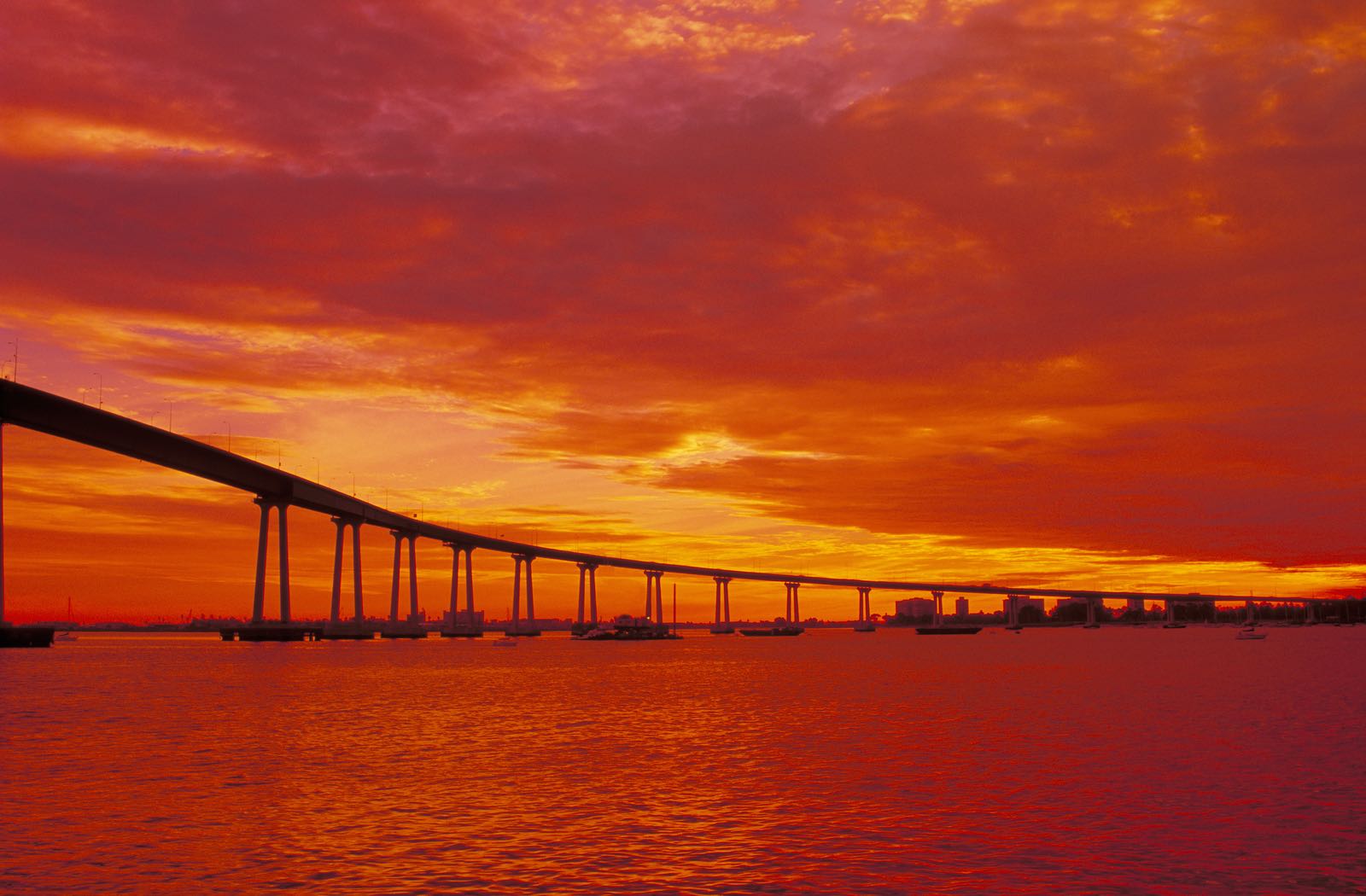 Top Things to Do in San Diego October 2227, 2019