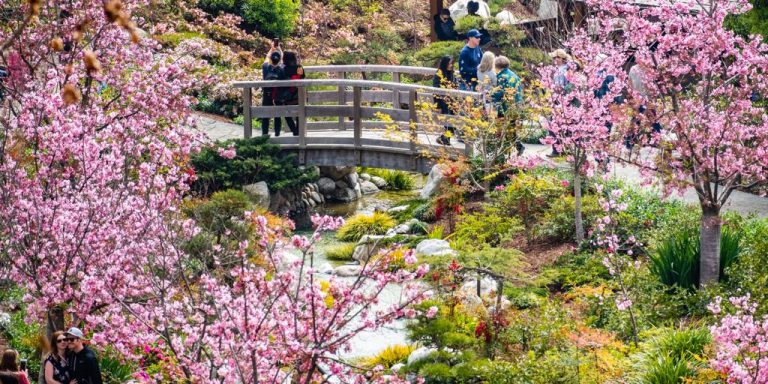 Landscape In Japanese Friendship Garden Balboa Park San Diego San