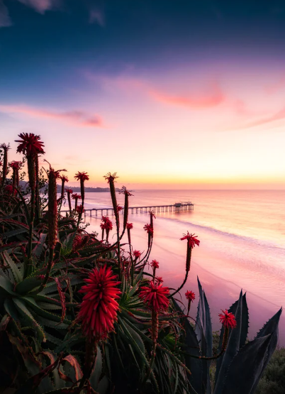 Scripps Pier at Sunset