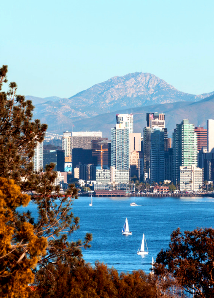 Downtown skyline and sailboats on San Diego bay from Talbot Street