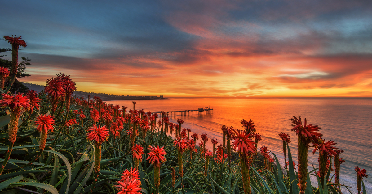 10 of San Diego's Best Known and Unexpected Photo Spots